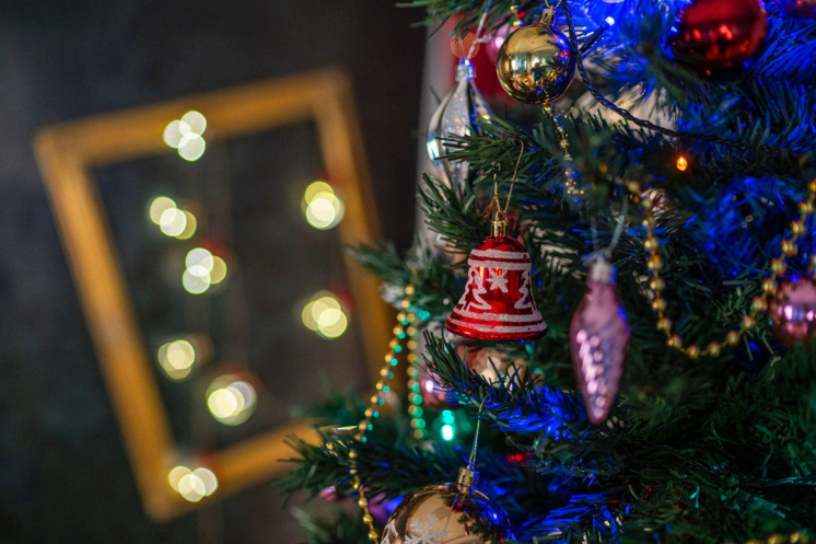 The Ultimate Guide to Finding Cheap Christmas Trees: Tips and Tricks