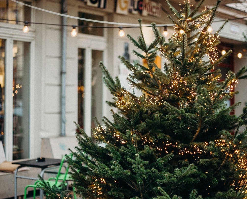 Why a Flocked Christmas Tree is the Perfect Choice